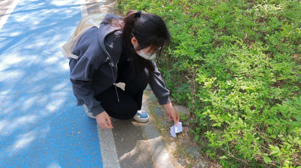 胜天堂际-胜天平台「成绩优美生涯」