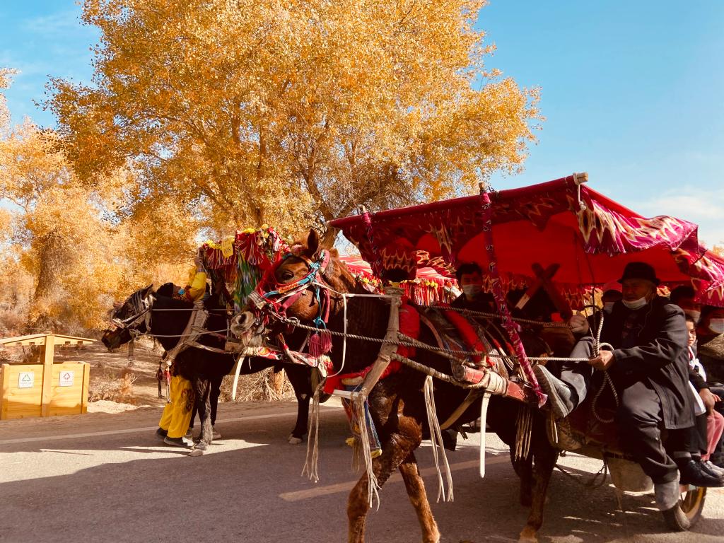 我院举行“石榴籽杯”摄影作品征集评选运动