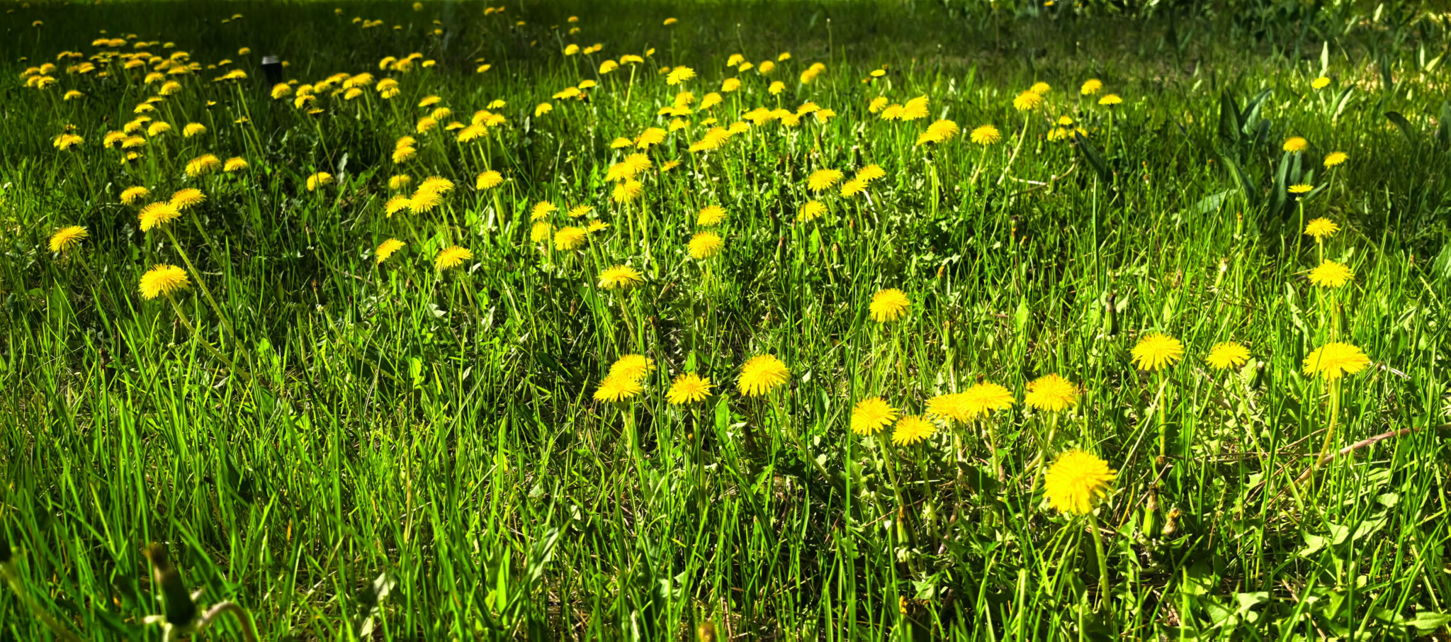 胜天堂际-胜天平台「成绩优美生涯」