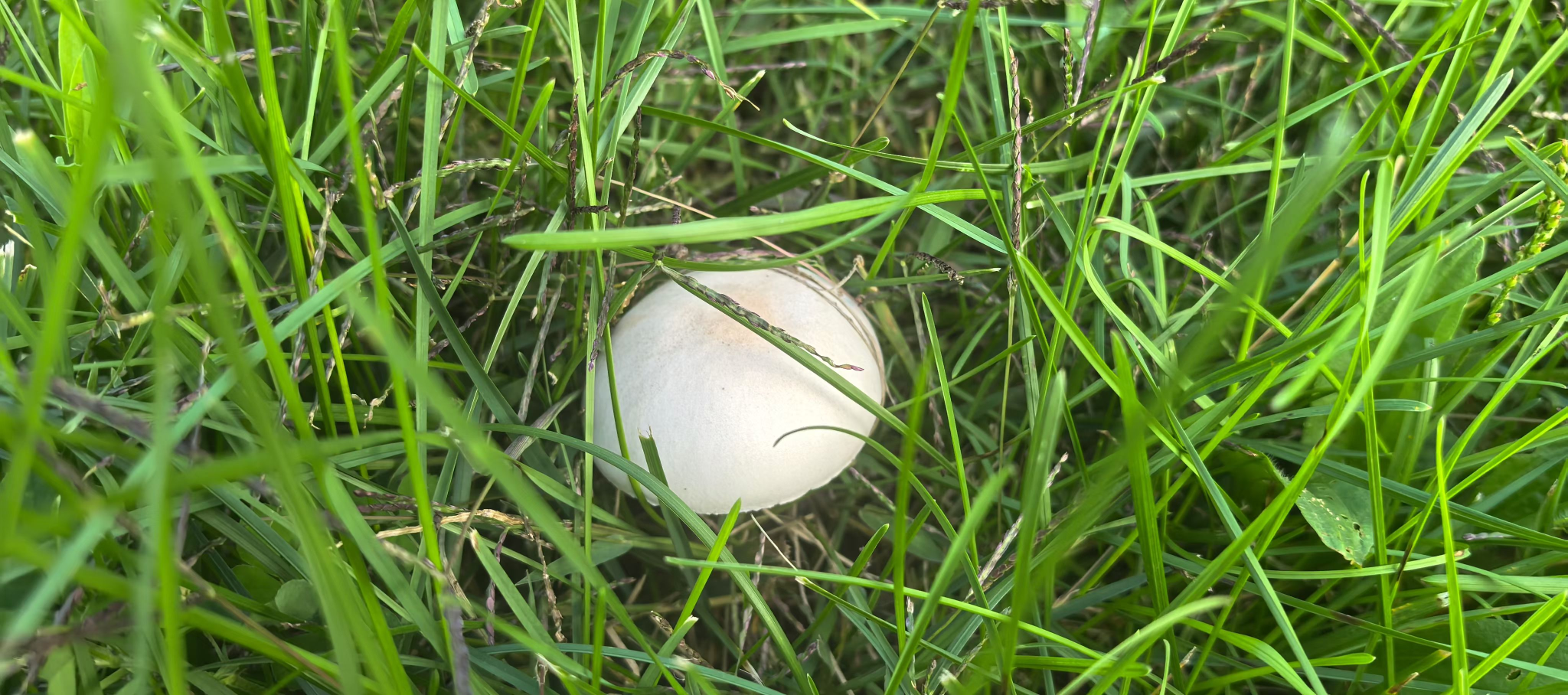 胜天堂际-胜天平台「成绩优美生涯」