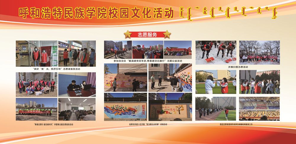 2023年度团委事情汇编