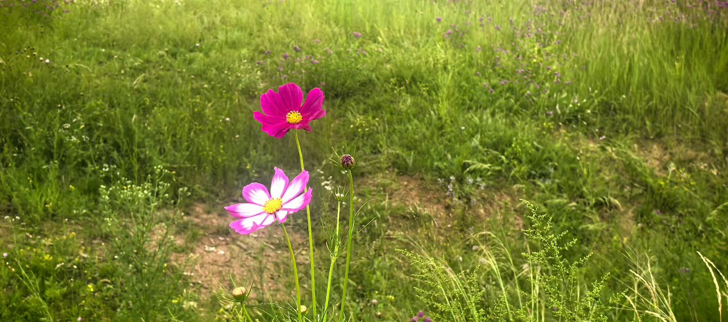 胜天堂际-胜天平台「成绩优美生涯」