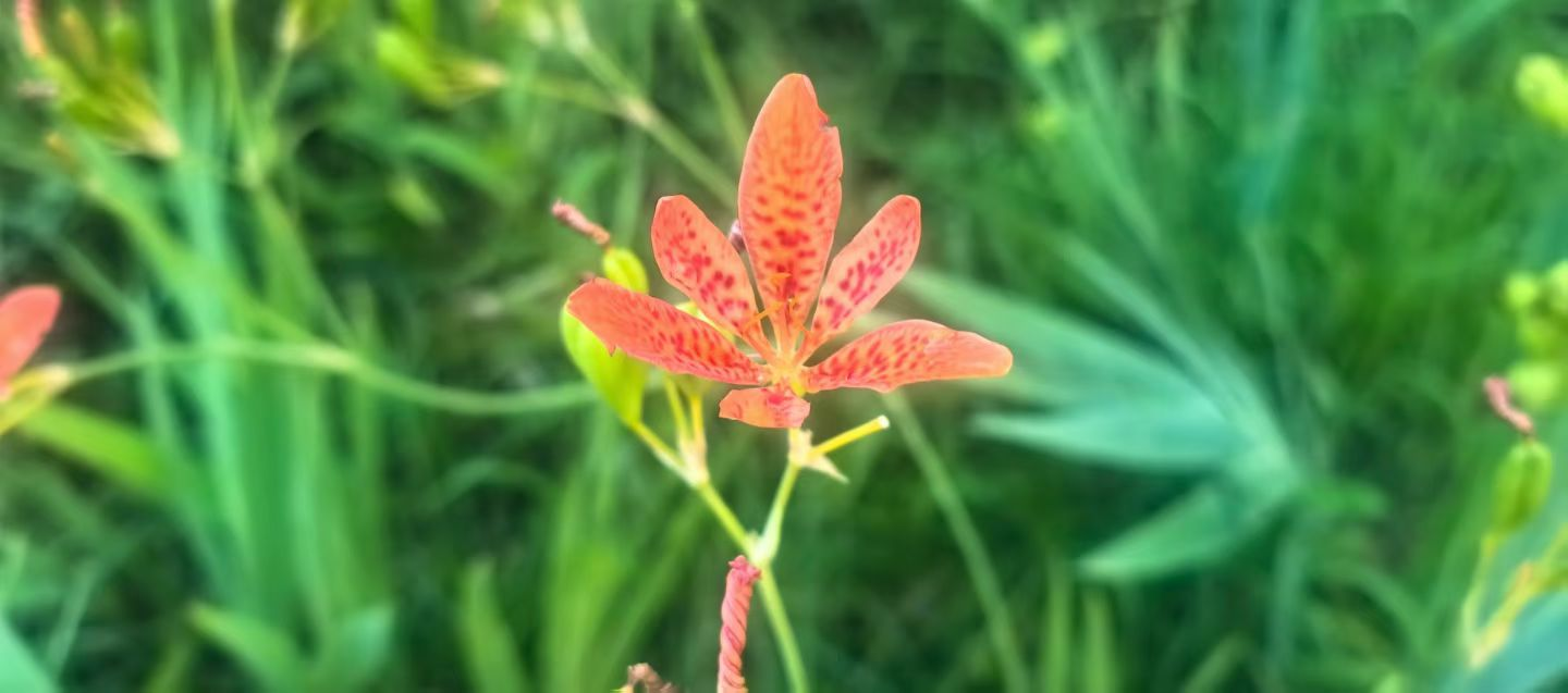 胜天堂际-胜天平台「成绩优美生涯」