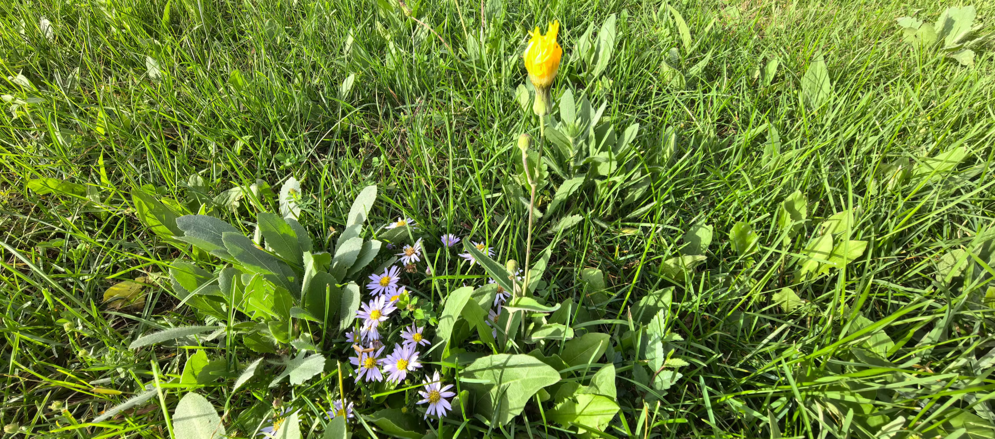 胜天堂际-胜天平台「成绩优美生涯」