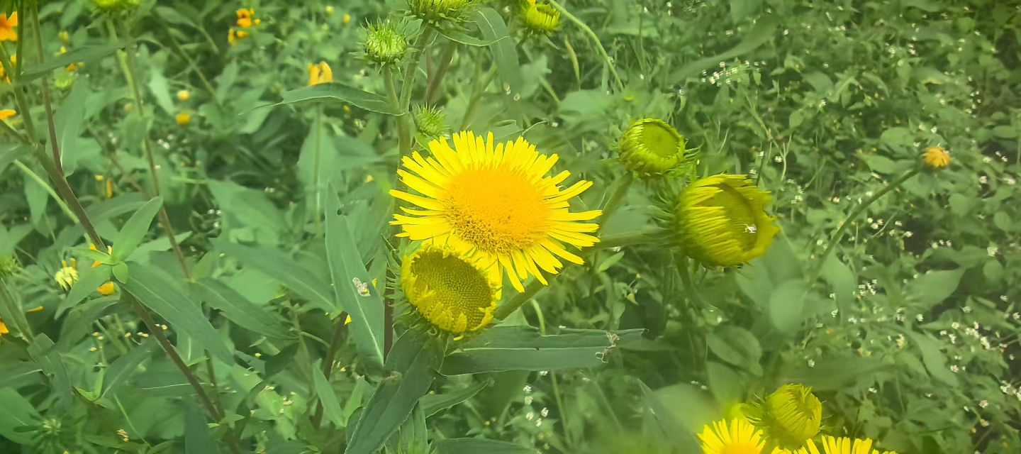 胜天堂际-胜天平台「成绩优美生涯」