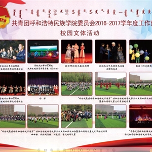 2017年度团委事情汇编