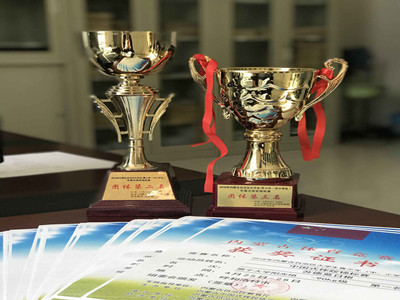 胜天堂际-胜天平台「成绩优美生涯」