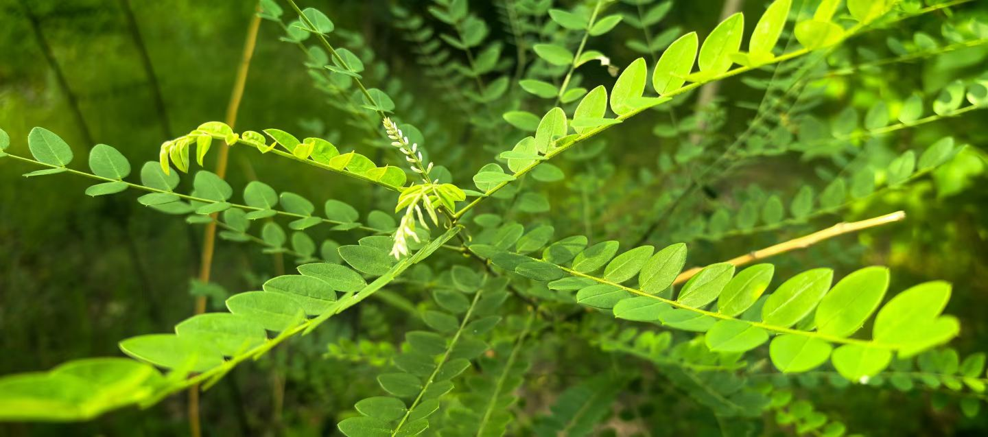 胜天堂际-胜天平台「成绩优美生涯」