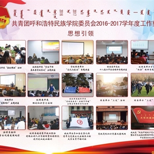 2017年度团委事情汇编