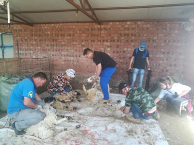 胜天堂际-胜天平台「成绩优美生涯」