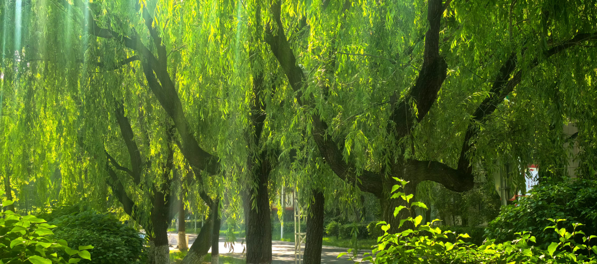 胜天堂际-胜天平台「成绩优美生涯」