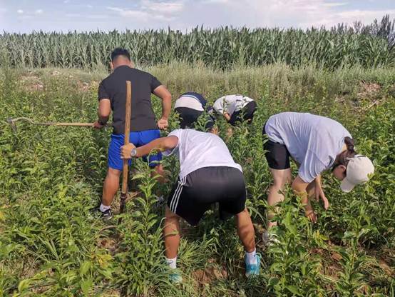 说明: D:\团总支事情\“三下乡”社会实践\2021年\148088457f882cb5bccbc261bee03b2.jpg