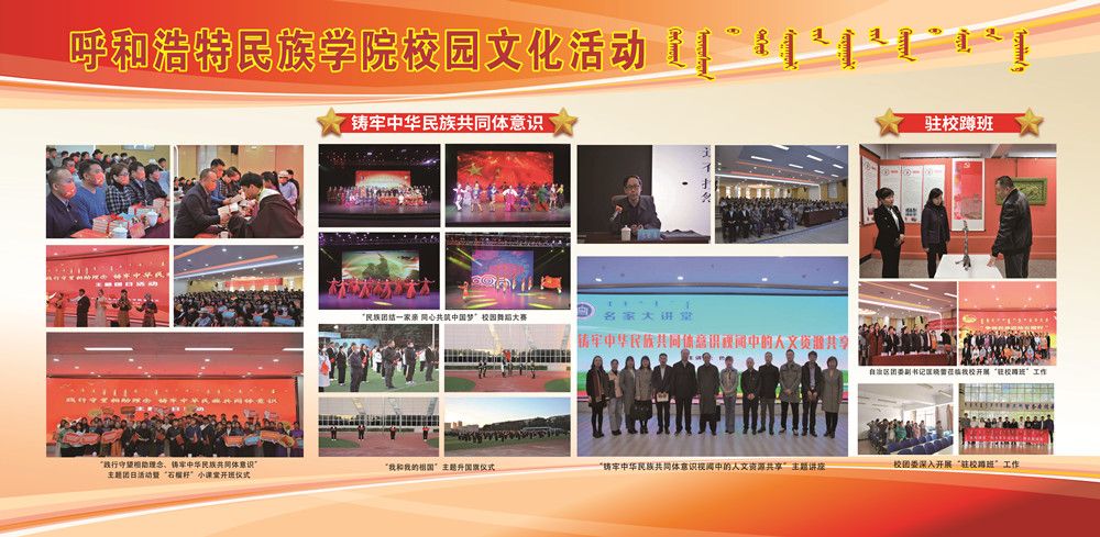 2023年度团委事情汇编