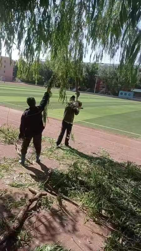 胜天堂际-胜天平台「成绩优美生涯」
