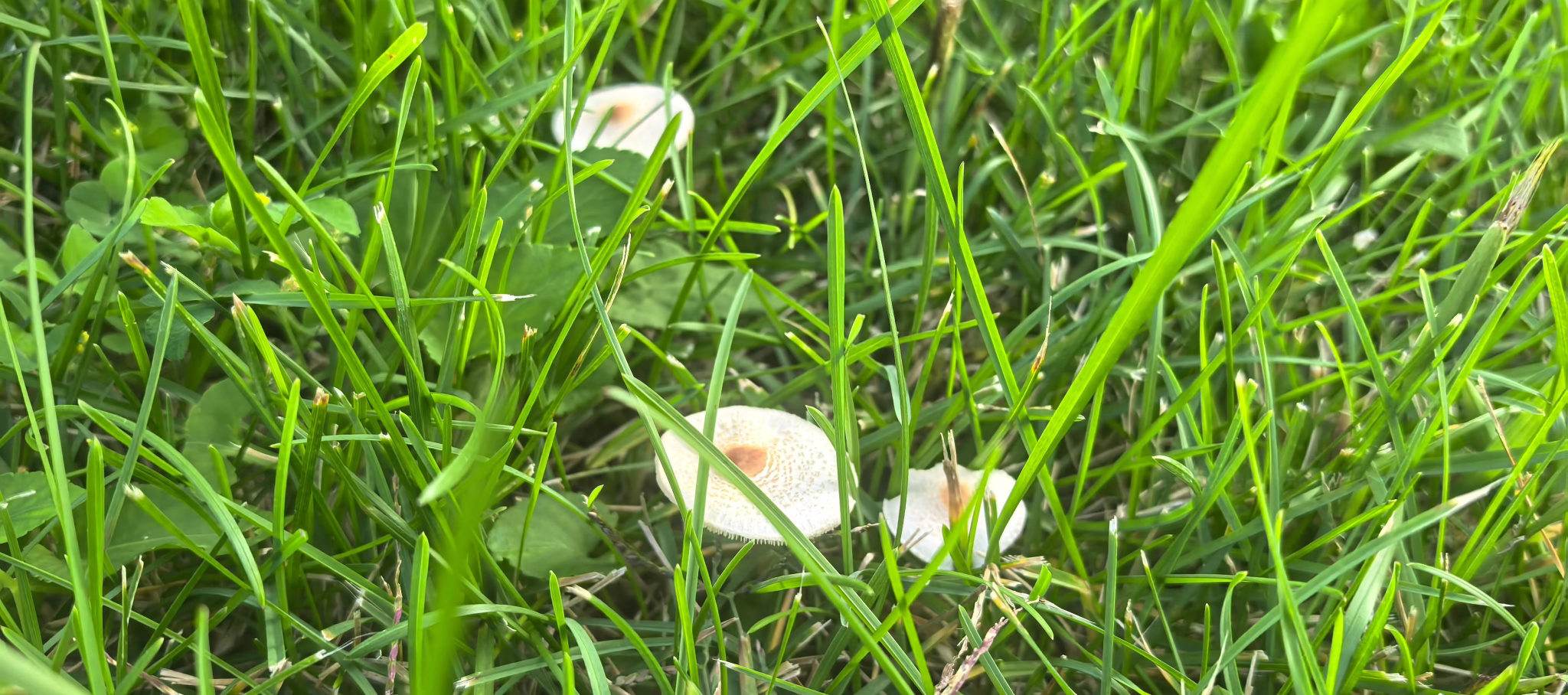 胜天堂际-胜天平台「成绩优美生涯」