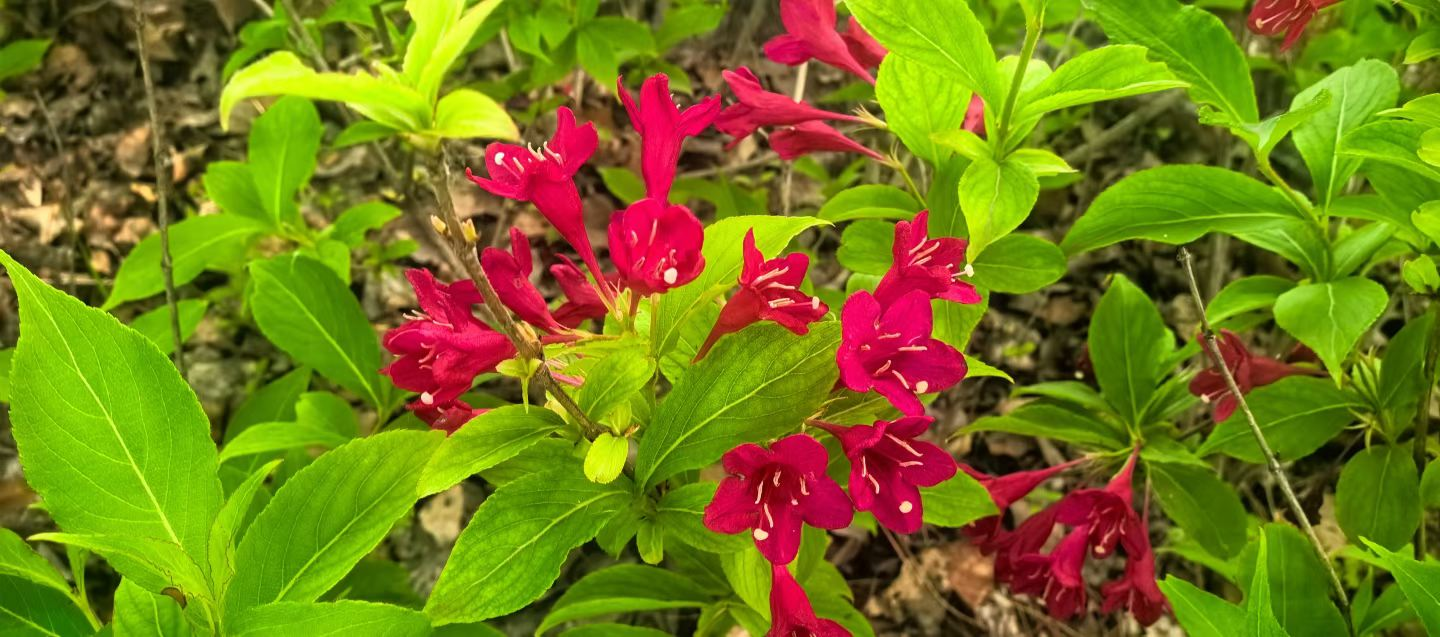 胜天堂际-胜天平台「成绩优美生涯」