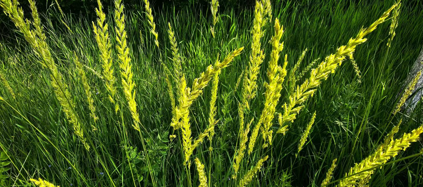 胜天堂际-胜天平台「成绩优美生涯」