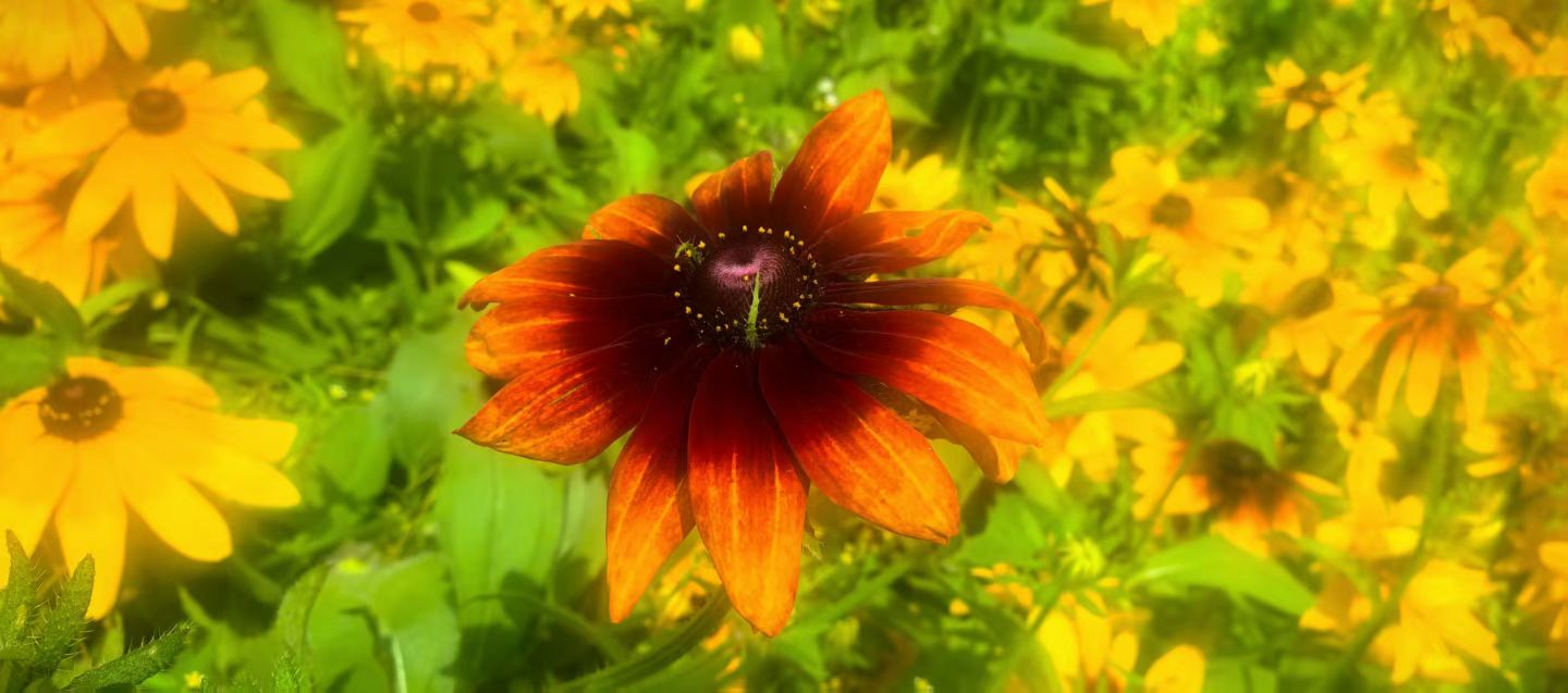 胜天堂际-胜天平台「成绩优美生涯」